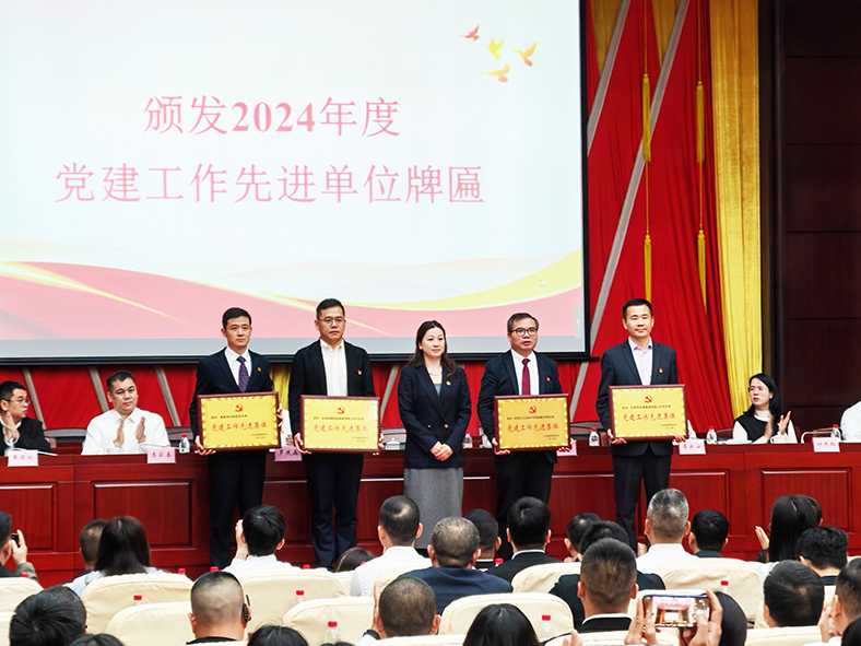 三正房地產(chǎn)黨支部：榮獲“2024年度塘廈鎮(zhèn)黨建工作先進(jìn)單位”稱號(hào)